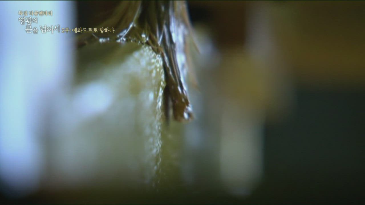 2편 에콰도르로&nbsp;향하다