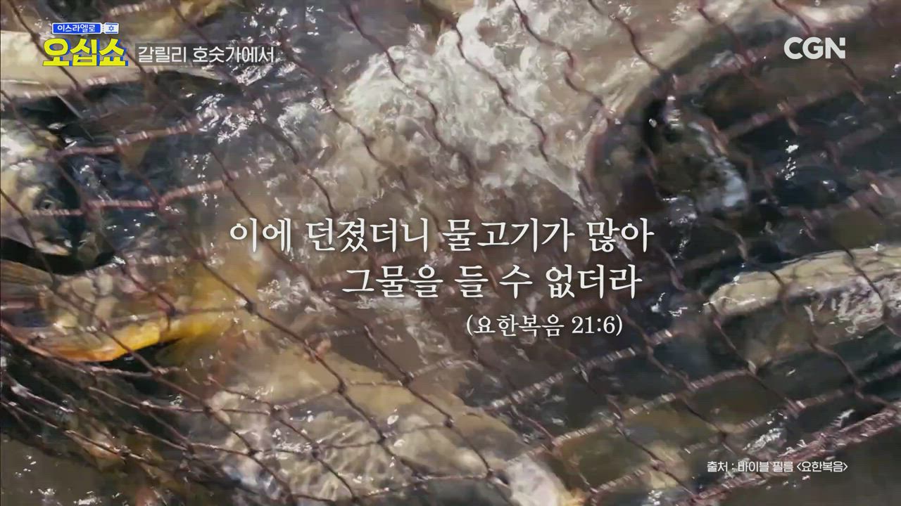 6편 예수님은 왜 그곳에서 그런 말씀을 하셨을까? → 갈릴리(2)