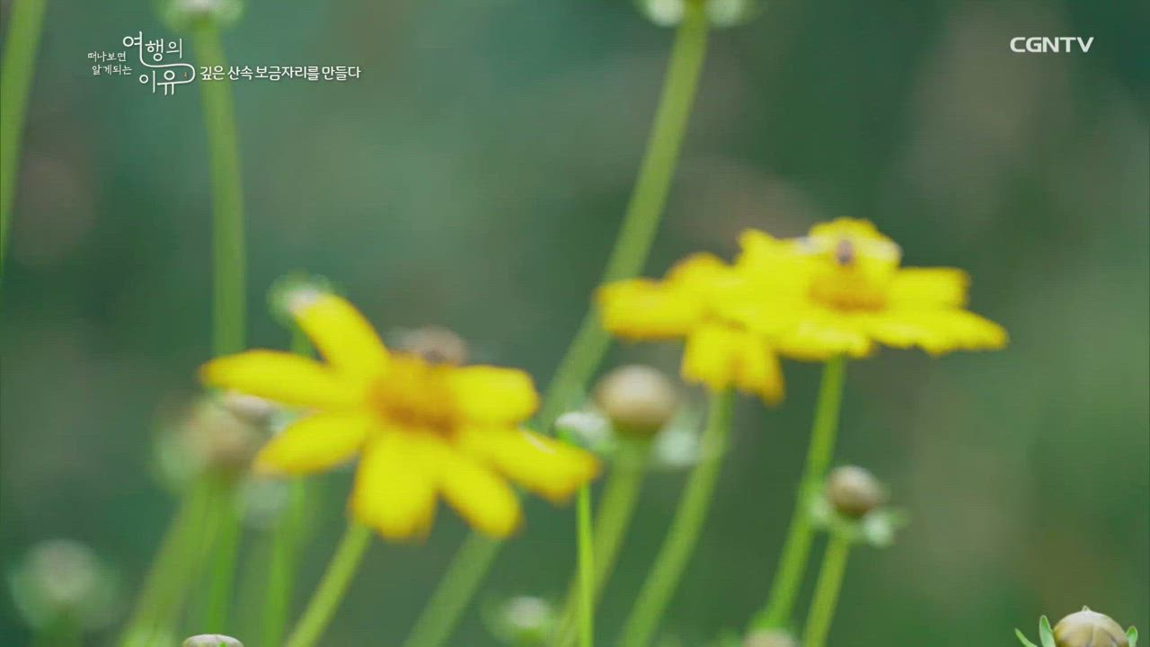 12편 선교사&nbsp;이용규의&nbsp;쉼(1)