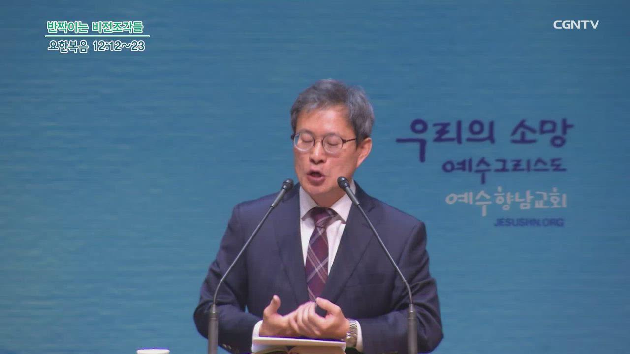 308편 반짝이는 비전조각들