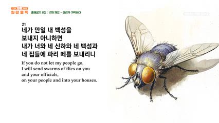 21편 출애굽기 7장~9장