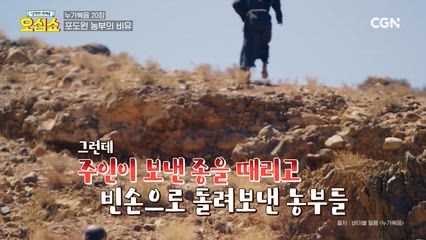 13편 누가복음 몰아보기(2) 