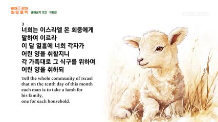 22편 출애굽기 10장~12장