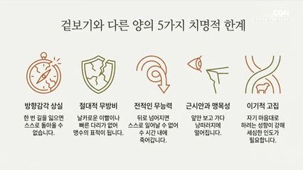 2026년 03월 17일 양과 목자 