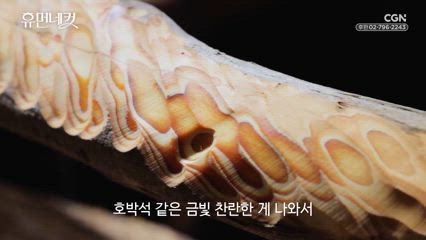 47편 우예본 십자가 조각가