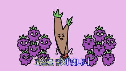 98편 포도나무송