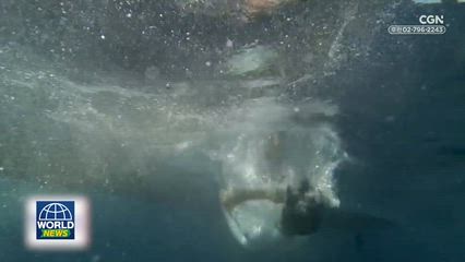 16편 미국 '와일드 브라더스' 미디어 사역/필리핀 아시아선교센터 창립 30주년