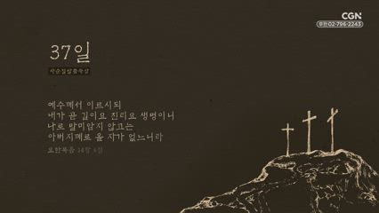37편 요한복음 14장 6절